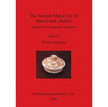 The Ancient Maya City of Blue Creek, Belize: Wealth, Social Organization and Ritual