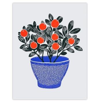 Artery8 Teaberry Red Berry Potted Plant, Blue & Red Bright Wall Art Print – 24 W x 32 H (Orange)