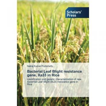 Bacterial Leaf Blight resistance gene Xa33 in Rice