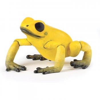 PAPO Äquatorialer Gelbfrosch