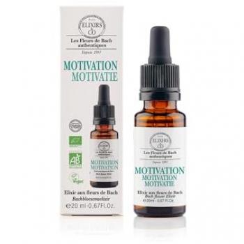 Essence Motivation – Gelée 20 ml Naturelle