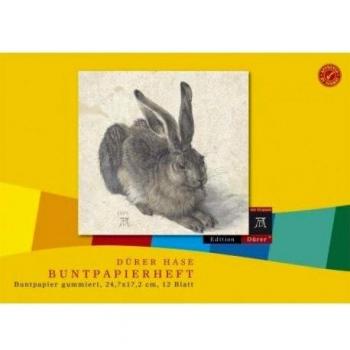 Buntpapier-Heft E5q 12 Blatt sortiert