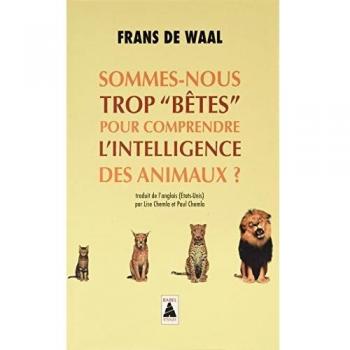 Sommes-nous trop bêtes pour comprendre l'intelligence des animaux ?
