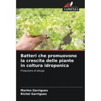 Batteri che promuovono la crescita delle piante in coltura idroponica: Produzione di lattuga