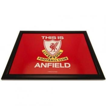 Liverpool FC Vaso Cuscino One Size (Nero & Rosso)
