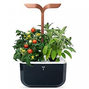 Mini Jardin Cuivre EXKY Smart 4Lingots