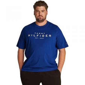 Tommy Hilfiger Herren Rundhalsshirt BIG & TALL mit Logodruck in Blau (Wedge Blue) Größe XXXL