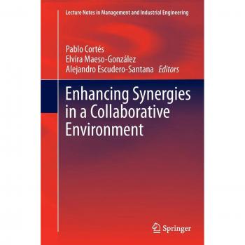 Enhancing Synergies in a Collaborative Environment