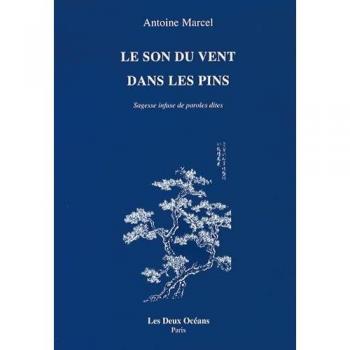 Le son du vent dans les pins