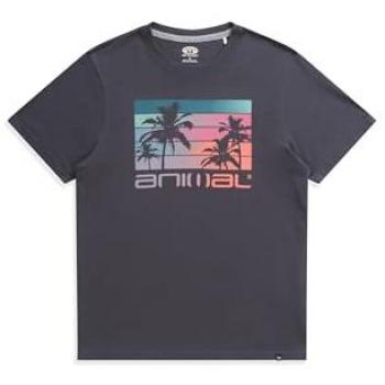 Animal Classico Wave Grey Long‑Sleeve (no)