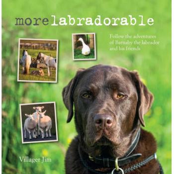 Morelabradorable: Follow the adventures of Barnaby the labrador and his friends,