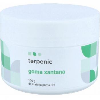 Goma Xantana Espesante 100 g | Terpenic