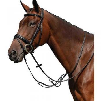 Syntovia Full Martingale Corridore Piatto