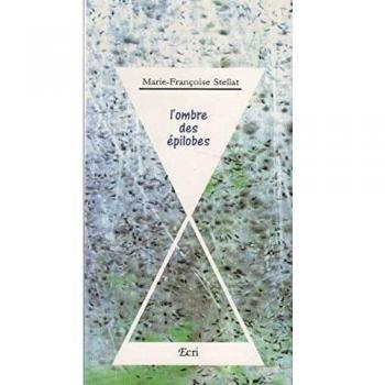 L'ombre des epilobes