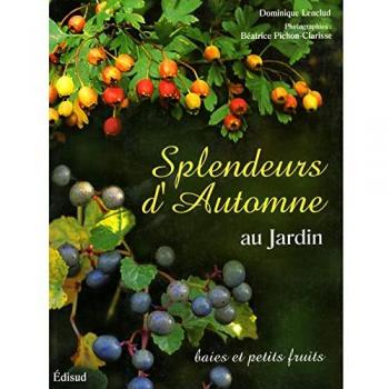 Splendeurs d'automne au jardin : Baies et petits fruits