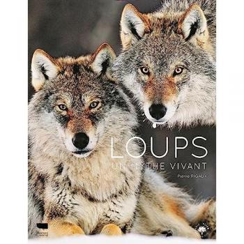 Loups