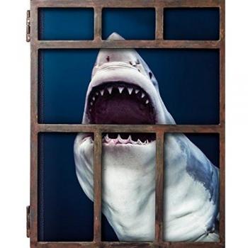 Michael Muller. Sharks