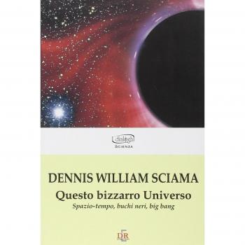 Questo bizzarro universo. Spazio-tempo, buchi neri, big bang