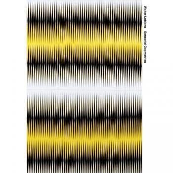 Walter Leblanc: Sensorial Geometries-Geometrie Sensoriali. Ediz. multilingue
