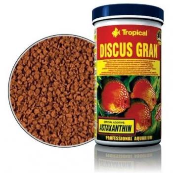 Discus D-50 Plus Large Format