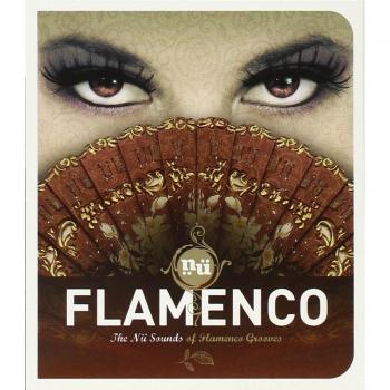 Nu Sounds of Flamenco