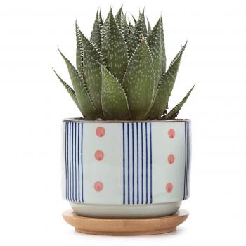 Zen Garden 7.5 cm White Ceramic Succulent Holder