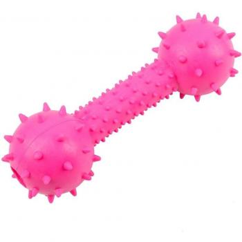 Prickly Rubber Dog Bone