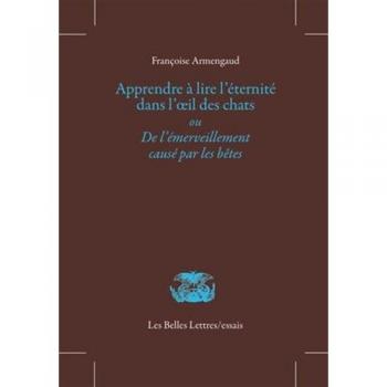 Apprendre à lire l'éternité dans l'œil des chats