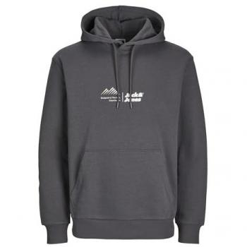 Jack & Jones Kapuzensweatshirt »JCOLIMA LOGO HOODIE BF«