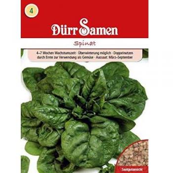 Dürr Samen Spinat Gründünger 250 g