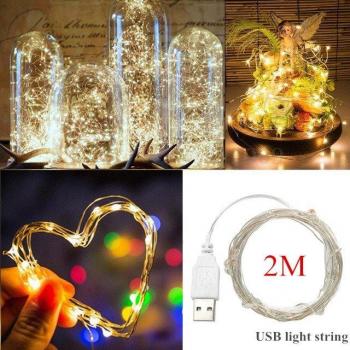Lumières festives LED 2 m – 20 LEDs, USB, blanc, décor Noël