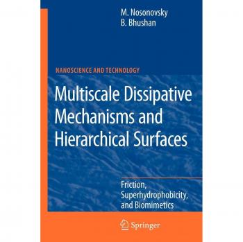 Multiscale Dissipative Mechanisms and Hierarchical Surfaces