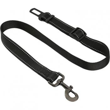 Laisse de traction pour chien
