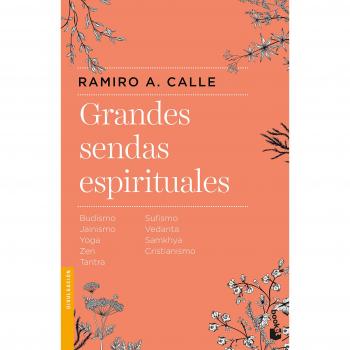Grandes sendas espirituales: Budismo, Jainismo, Yoga, Zen, Tantra, Sufismo, Vedanta, Samkhya, Cristianismo.