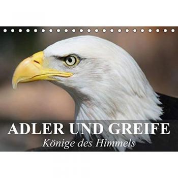 Adler und Greife