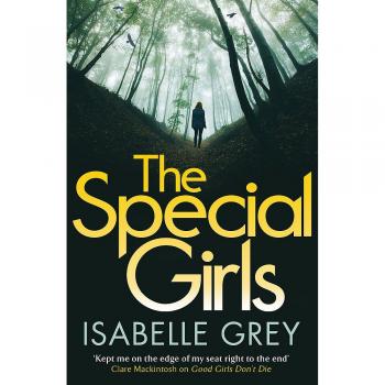 The Special Girls: A gripping summer thriller read full of shocking twists