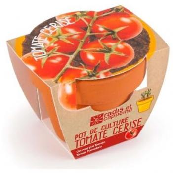 Kit de culture Tomate Cerise Bio en pot de terre cuite 6cm