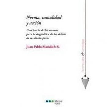 NORMA,CAUSALIDAD Y ACCIÓN UNA TEORÍA DE LAS NORMAS PARA LA DORGMÁTICA DE LOS DELITOS DE RESULTADOS PUROS