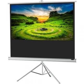 19 x 123cm Portable Tripod Projector Screen