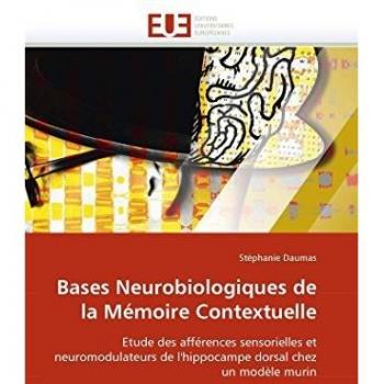 Bases Neurobiologiques de la Mémoire Contextuelle: Etude des afférences sensorielles et neuromodulateurs de l'hippocampe dorsal chez un modèle murin