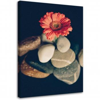 Stampa tessuti Gerbera Flowers Zen Stones 40x60 colore arancione
