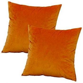 Luxury Velvet Sofa Pillowcase Pair