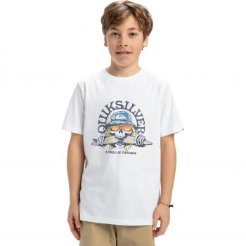 Quiksilver Ev Skull Feast T-Shirt for Boys