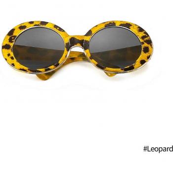 Lunettes tendance pour chats et petits chiens