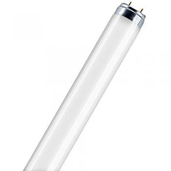 Lampada Fluorescente Osram Lumilux T8 G13 36W