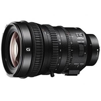 Sony E-Mount APS-C 18-110mm F4 G OSS