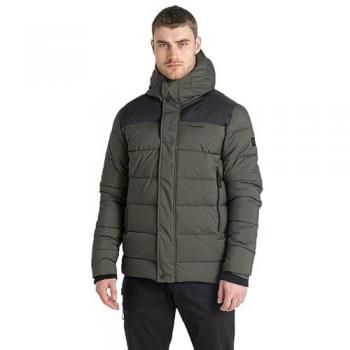 Giacca da Escursionismo Craghoppers Sutherland Verde Bosco/Nero