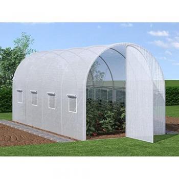 Telo di Ricambio per Serra Alocasia 9 m²