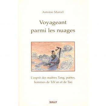 Voyageant parmi les nuages