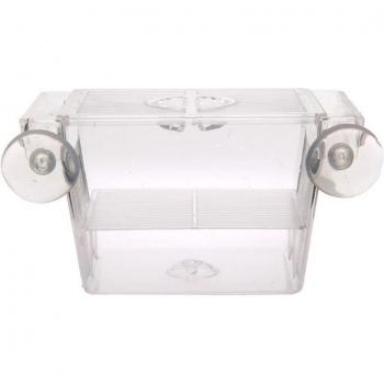 Réservoir d'incubation transparent pour poissons